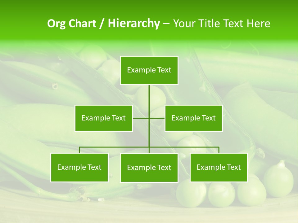 Vitamins Garden Legume PowerPoint Template