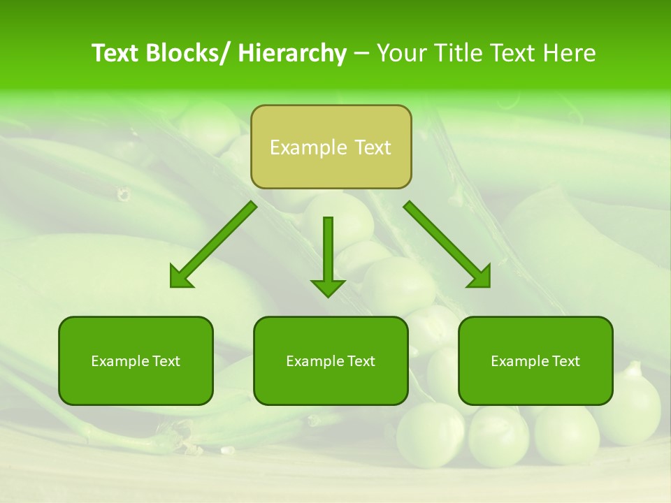 Vitamins Garden Legume PowerPoint Template