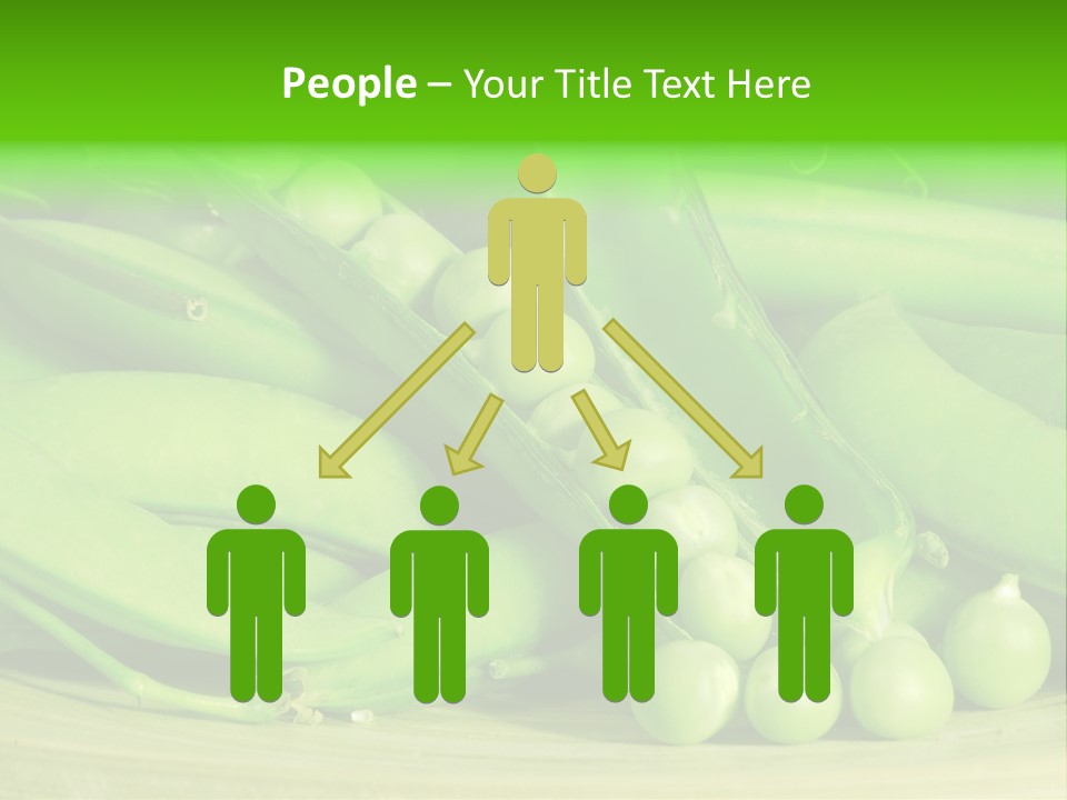 Vitamins Garden Legume PowerPoint Template