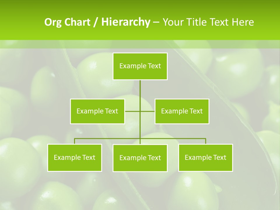 Pea Food Food Ingredient PowerPoint Template