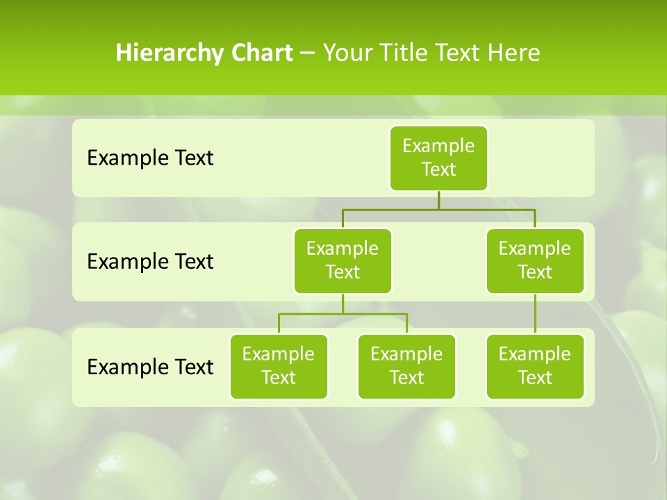 Pea Food Food Ingredient PowerPoint Template