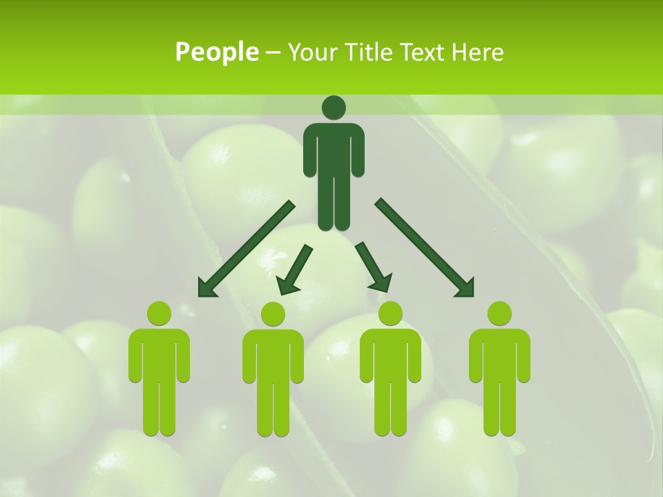 Pea Food Food Ingredient PowerPoint Template