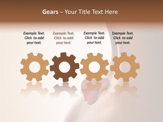 Senteur Relaxation Thalasso PowerPoint Template