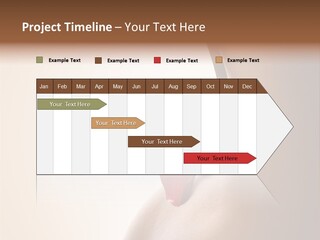 Senteur Relaxation Thalasso PowerPoint Template