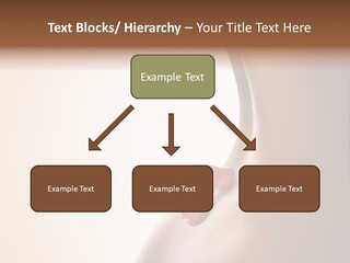 Senteur Relaxation Thalasso PowerPoint Template