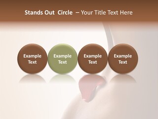 Senteur Relaxation Thalasso PowerPoint Template