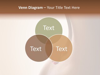 Senteur Relaxation Thalasso PowerPoint Template