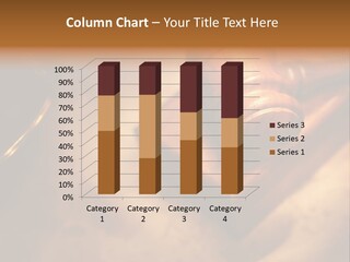 Wood Illegal Divorce PowerPoint Template