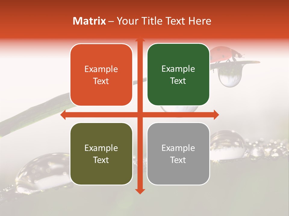 Weather Leaf Water PowerPoint Template