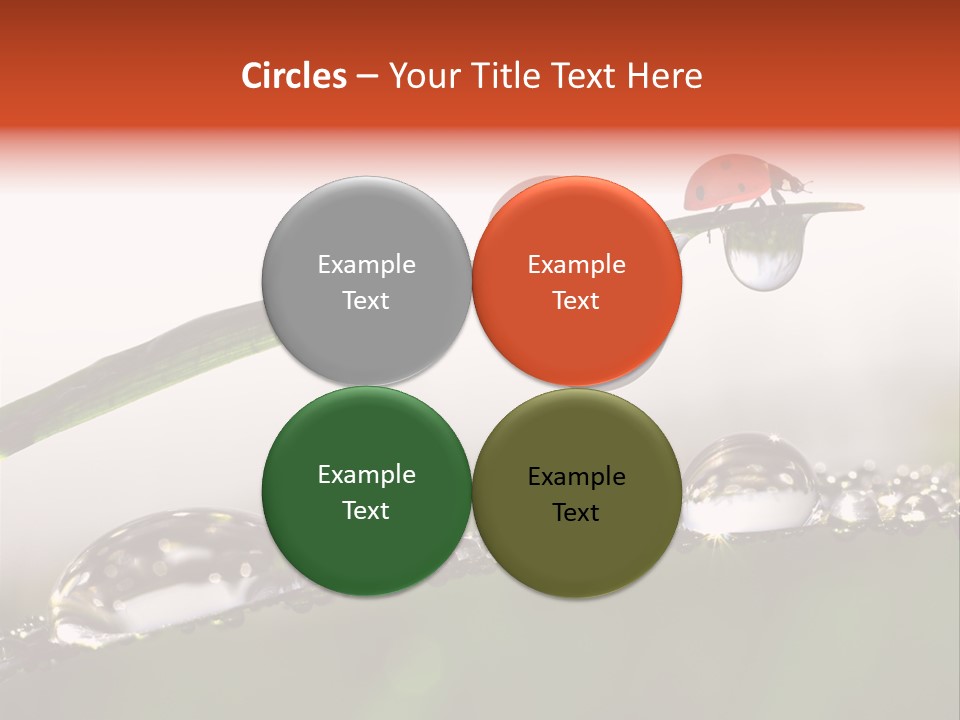 Weather Leaf Water PowerPoint Template