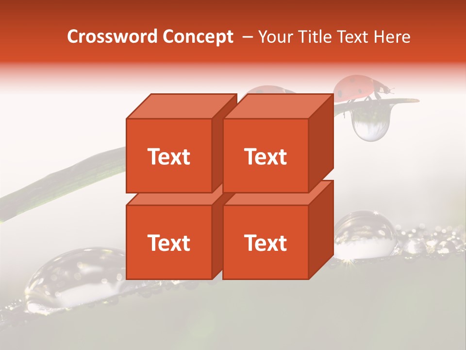 Weather Leaf Water PowerPoint Template