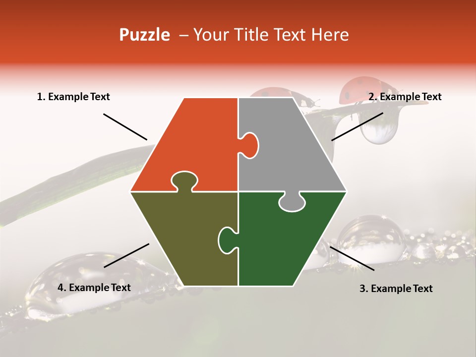 Weather Leaf Water PowerPoint Template