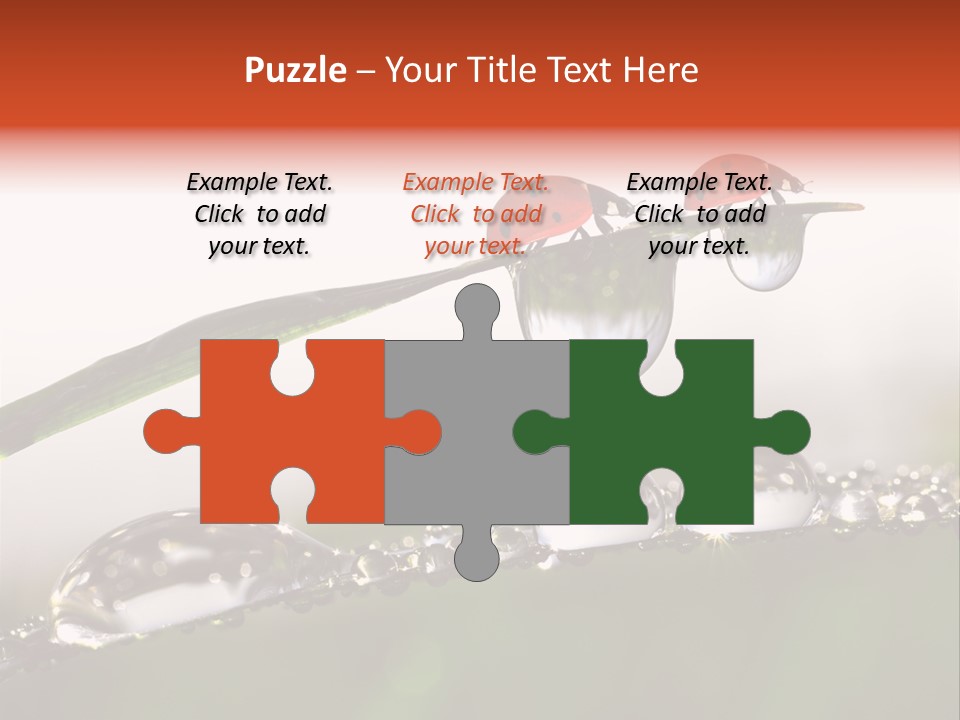 Weather Leaf Water PowerPoint Template