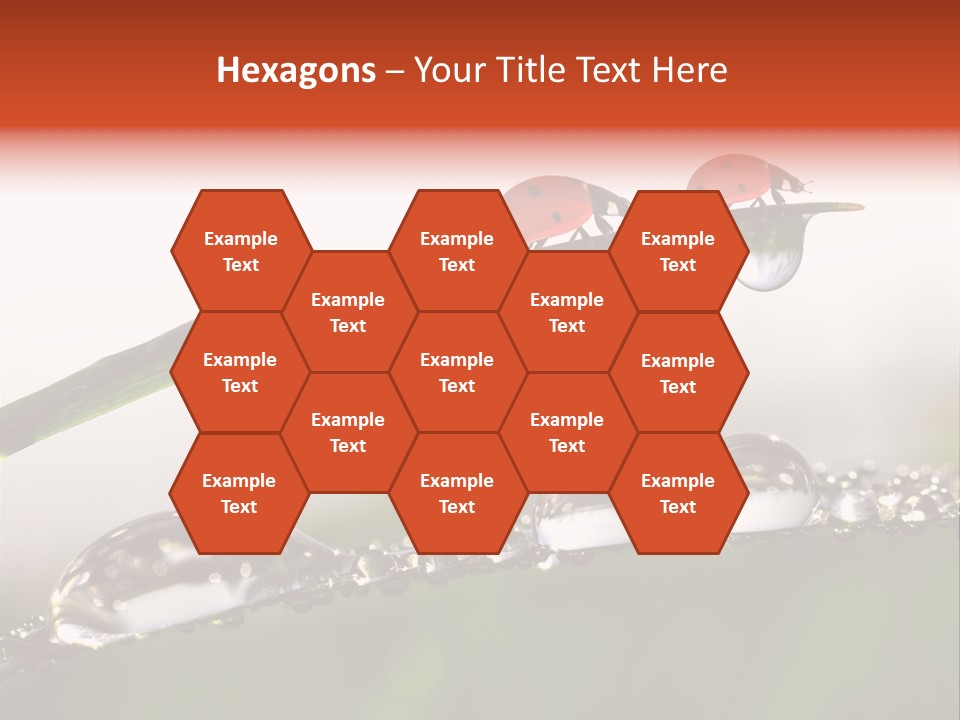 Weather Leaf Water PowerPoint Template