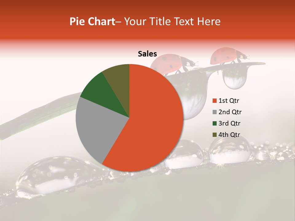 Weather Leaf Water PowerPoint Template