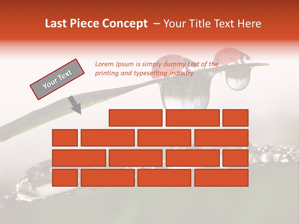 Weather Leaf Water PowerPoint Template