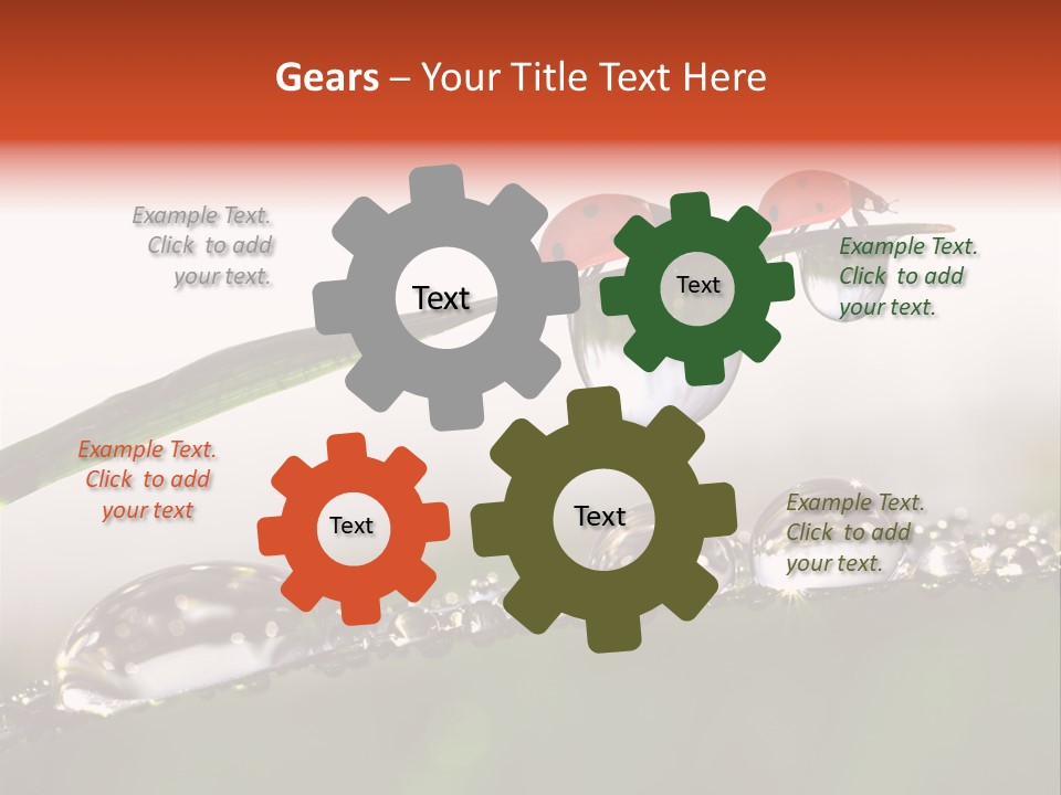 Weather Leaf Water PowerPoint Template