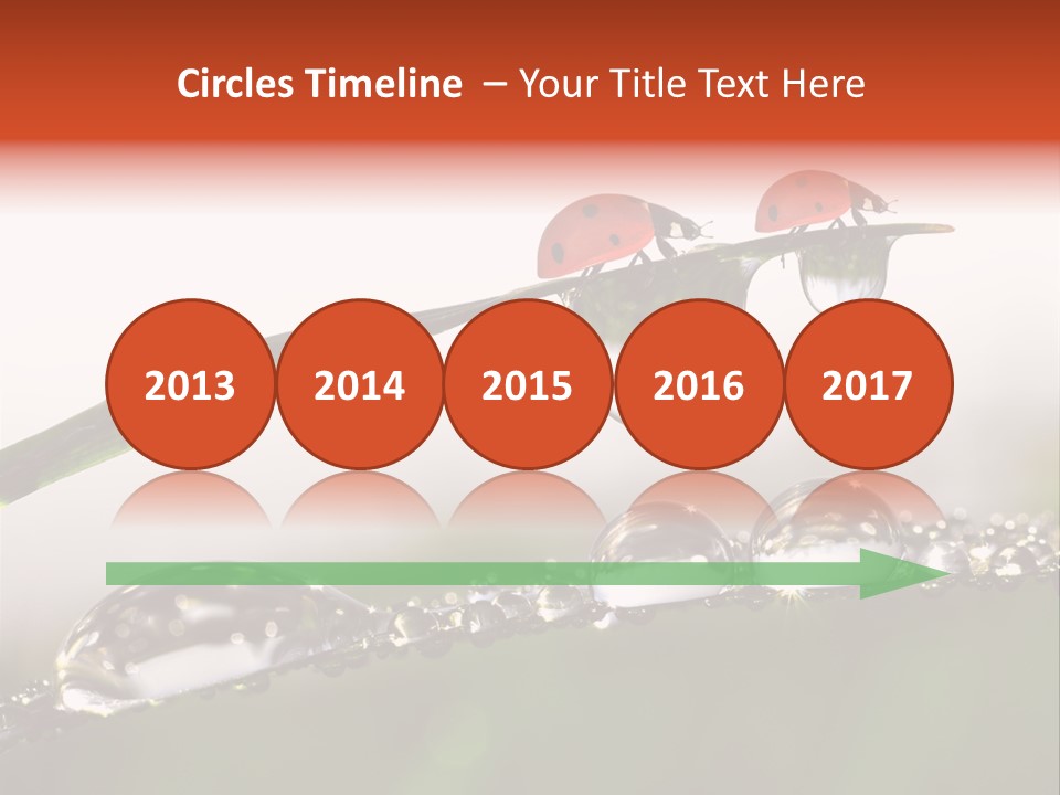 Weather Leaf Water PowerPoint Template