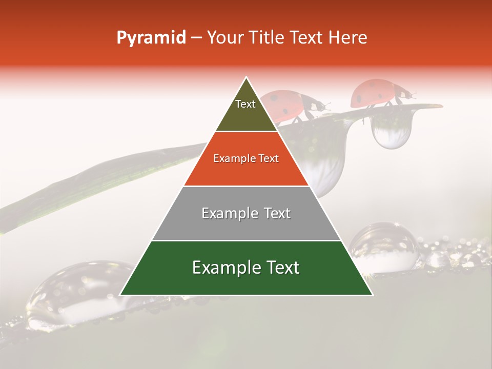 Weather Leaf Water PowerPoint Template
