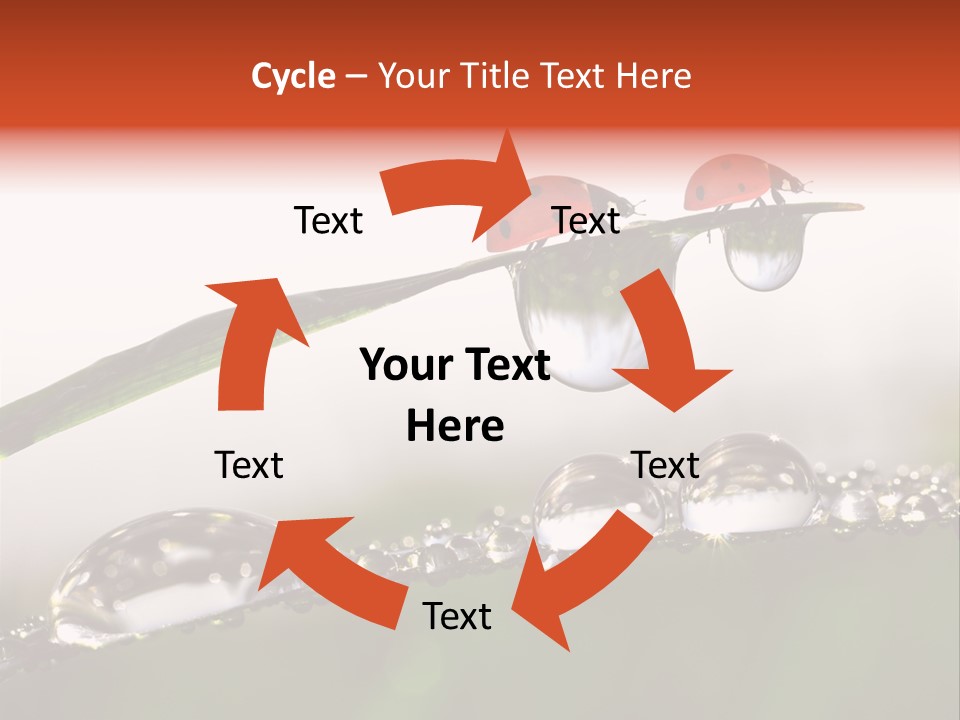 Weather Leaf Water PowerPoint Template