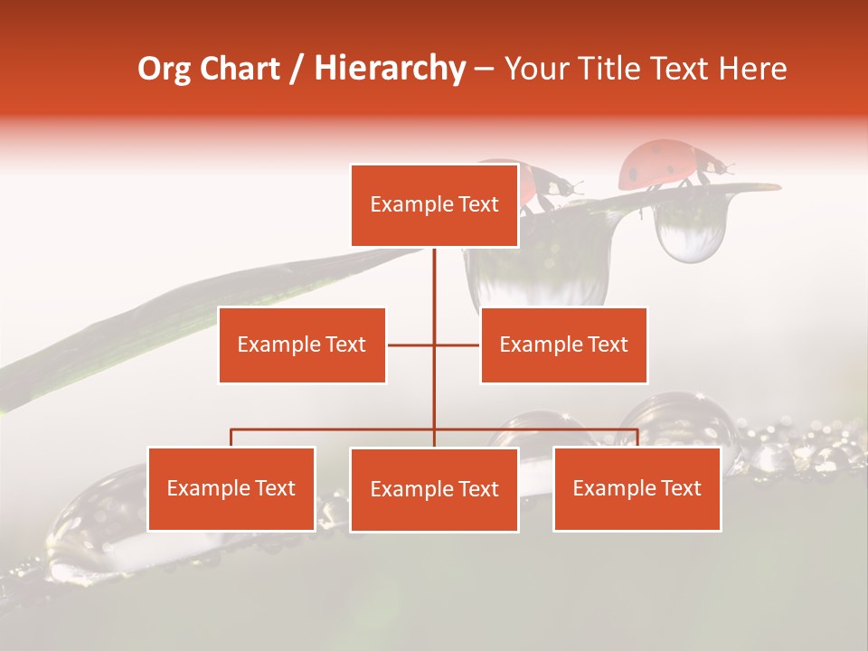 Weather Leaf Water PowerPoint Template