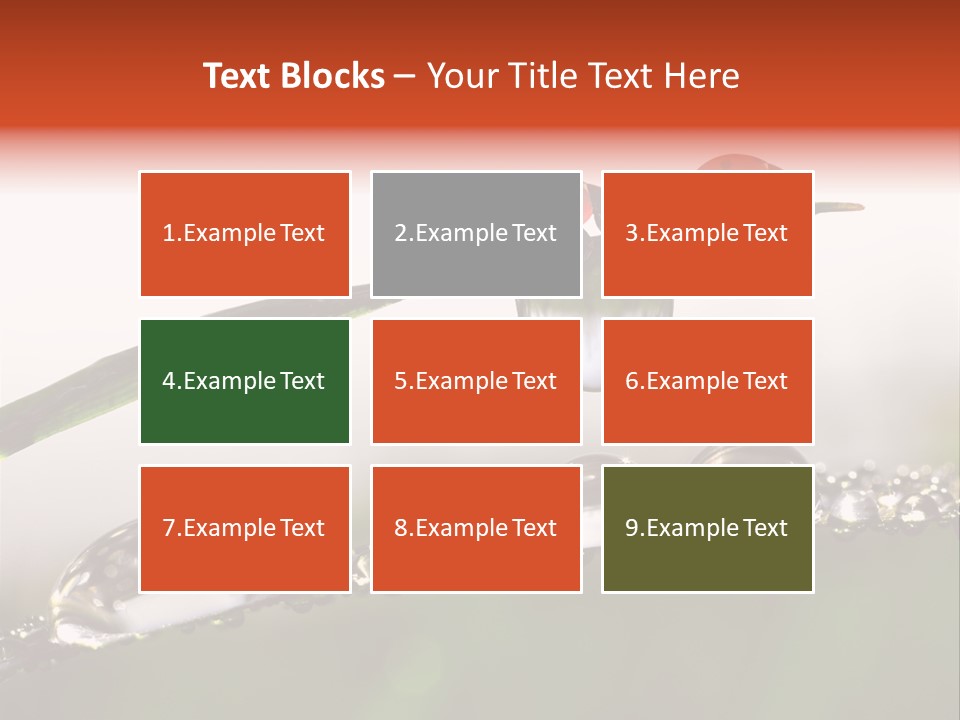 Weather Leaf Water PowerPoint Template