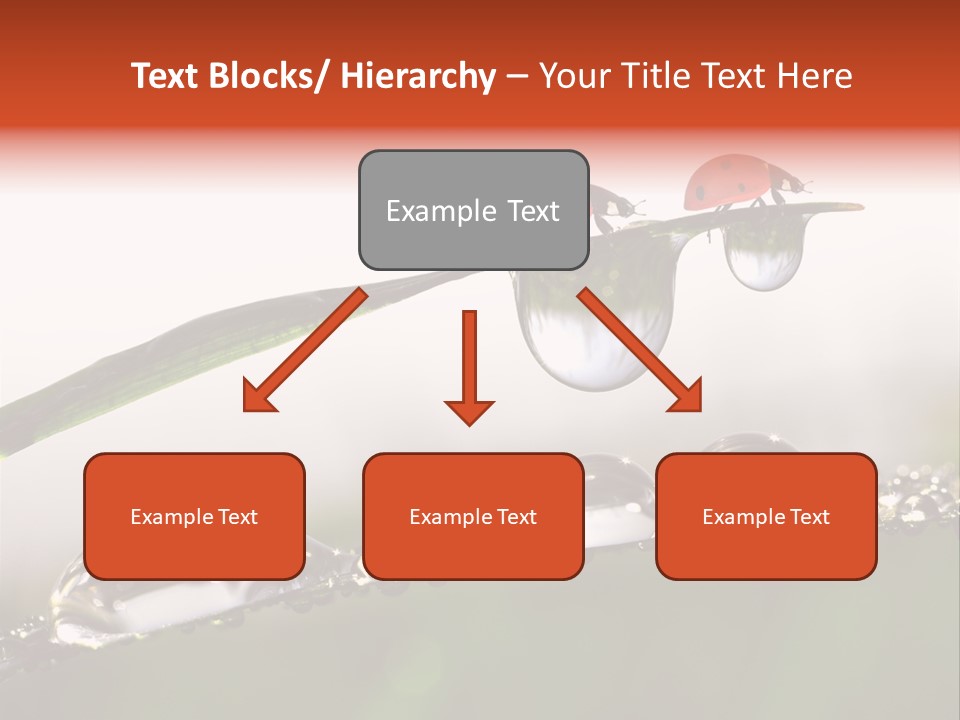 Weather Leaf Water PowerPoint Template