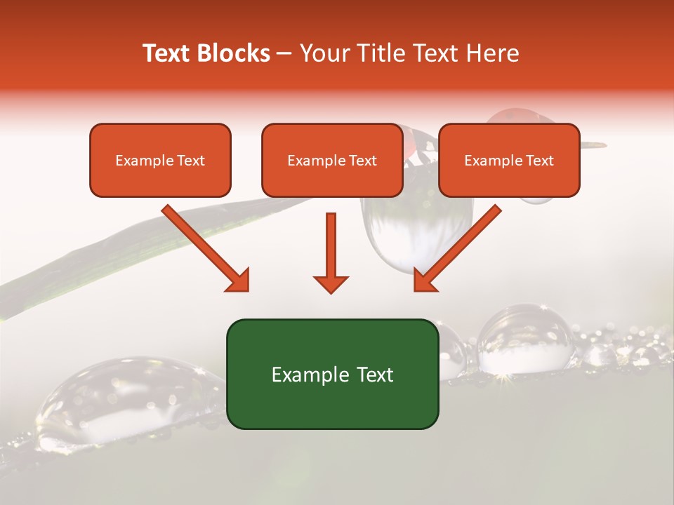Weather Leaf Water PowerPoint Template