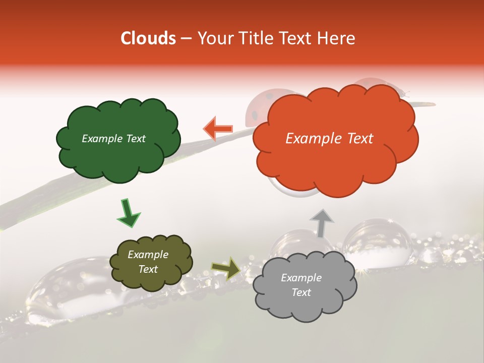 Weather Leaf Water PowerPoint Template