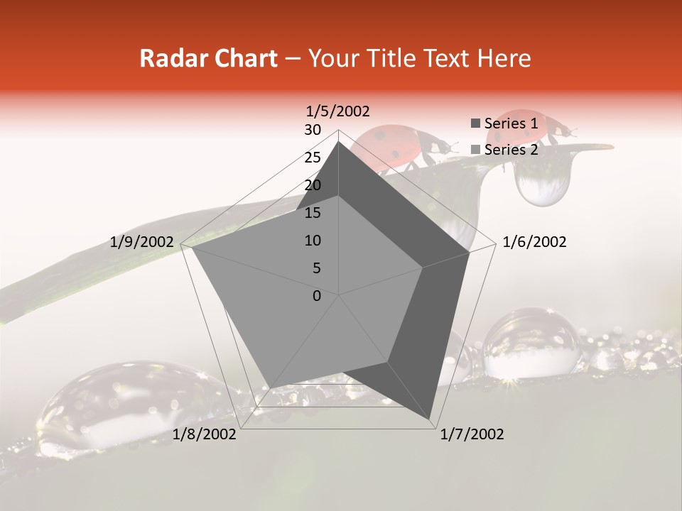 Weather Leaf Water PowerPoint Template