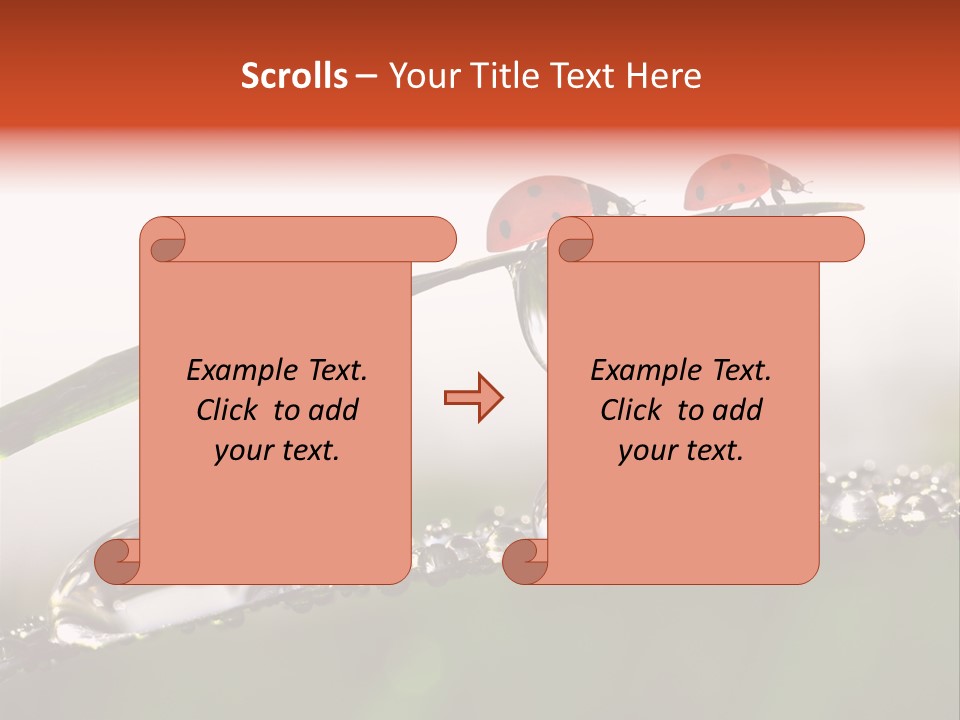 Weather Leaf Water PowerPoint Template
