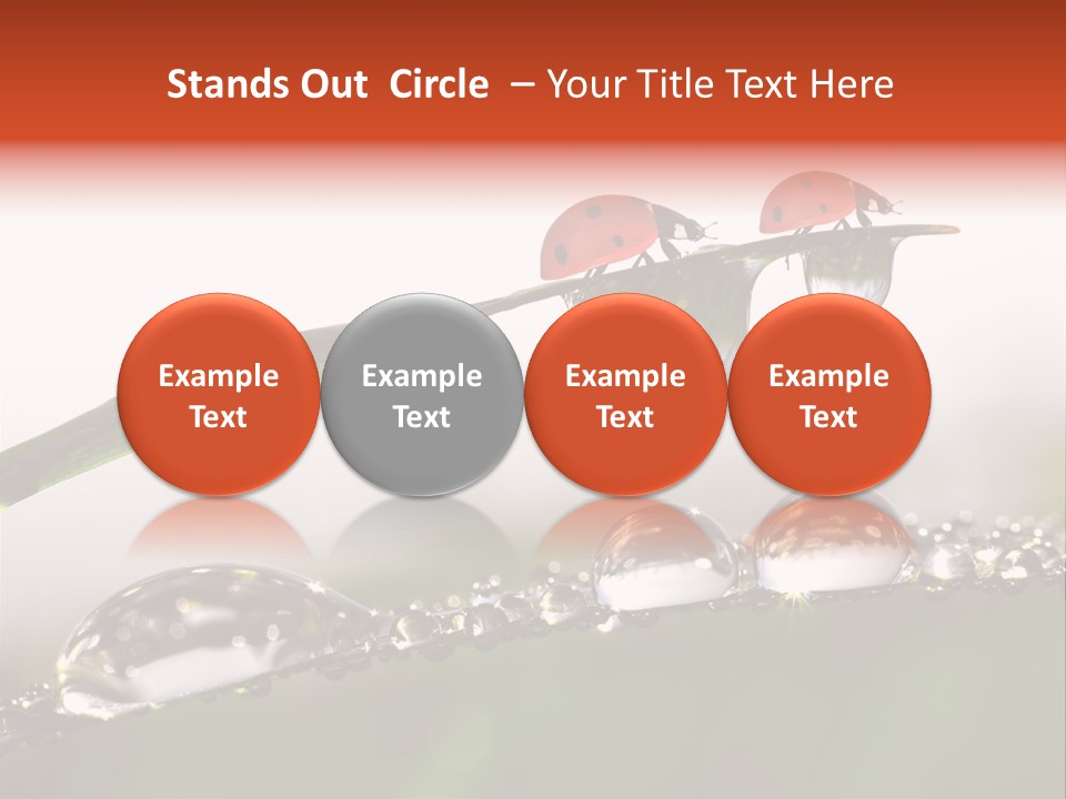 Weather Leaf Water PowerPoint Template