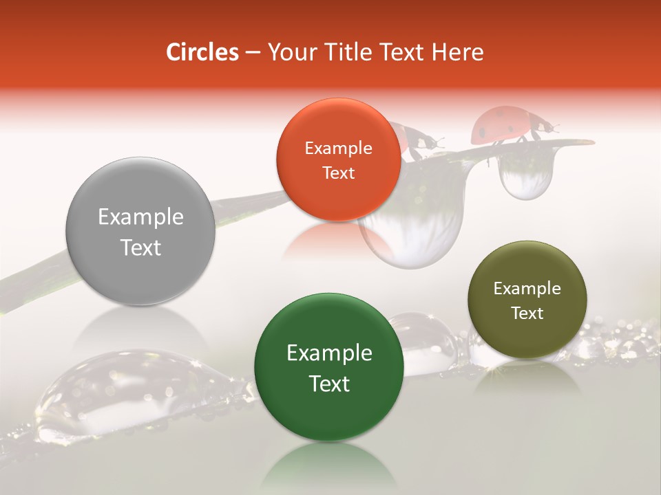 Weather Leaf Water PowerPoint Template