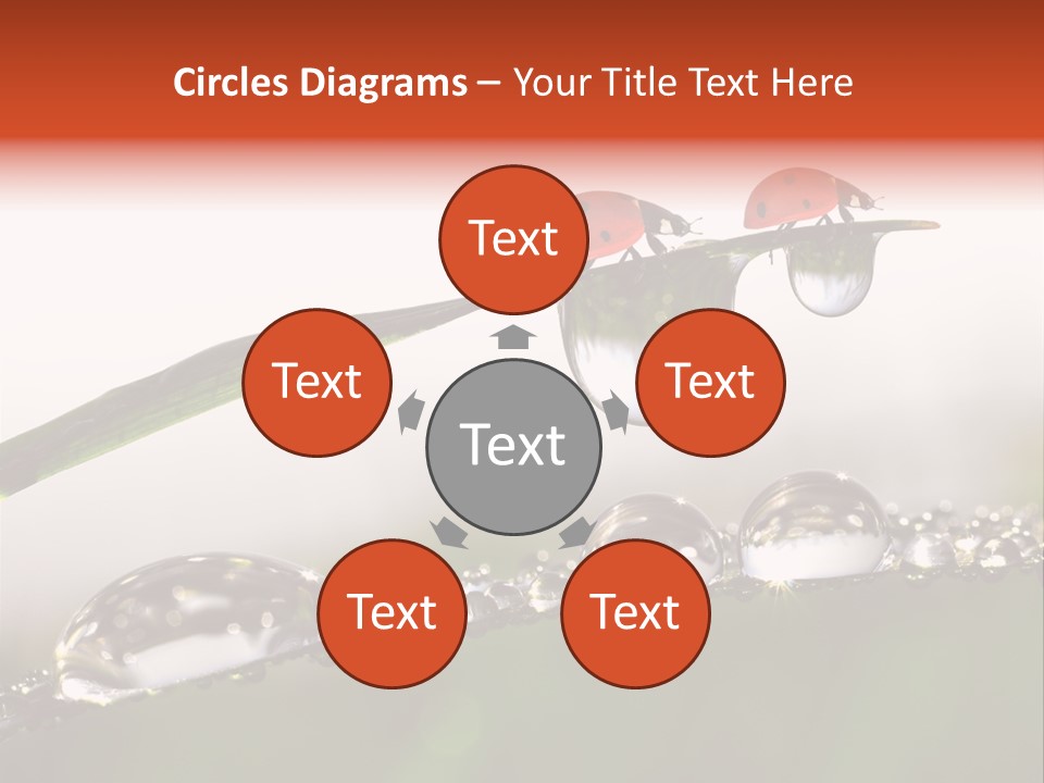 Weather Leaf Water PowerPoint Template