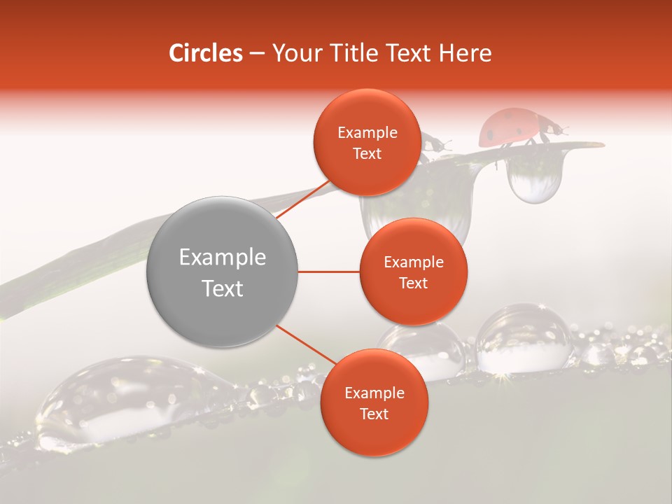 Weather Leaf Water PowerPoint Template