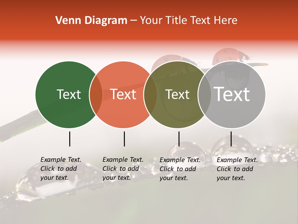 Weather Leaf Water PowerPoint Template