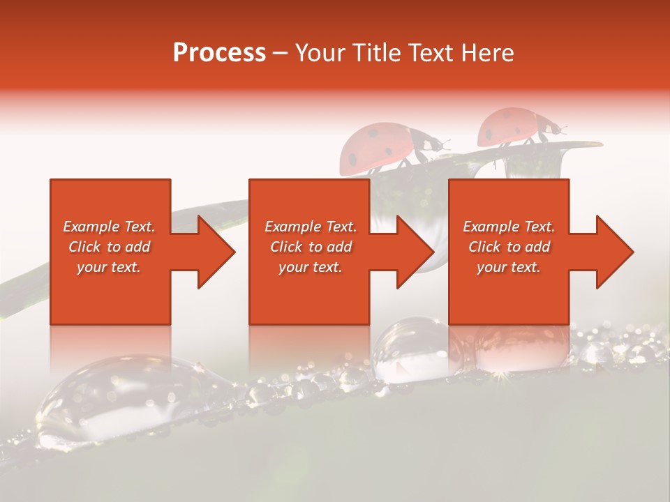 Weather Leaf Water PowerPoint Template