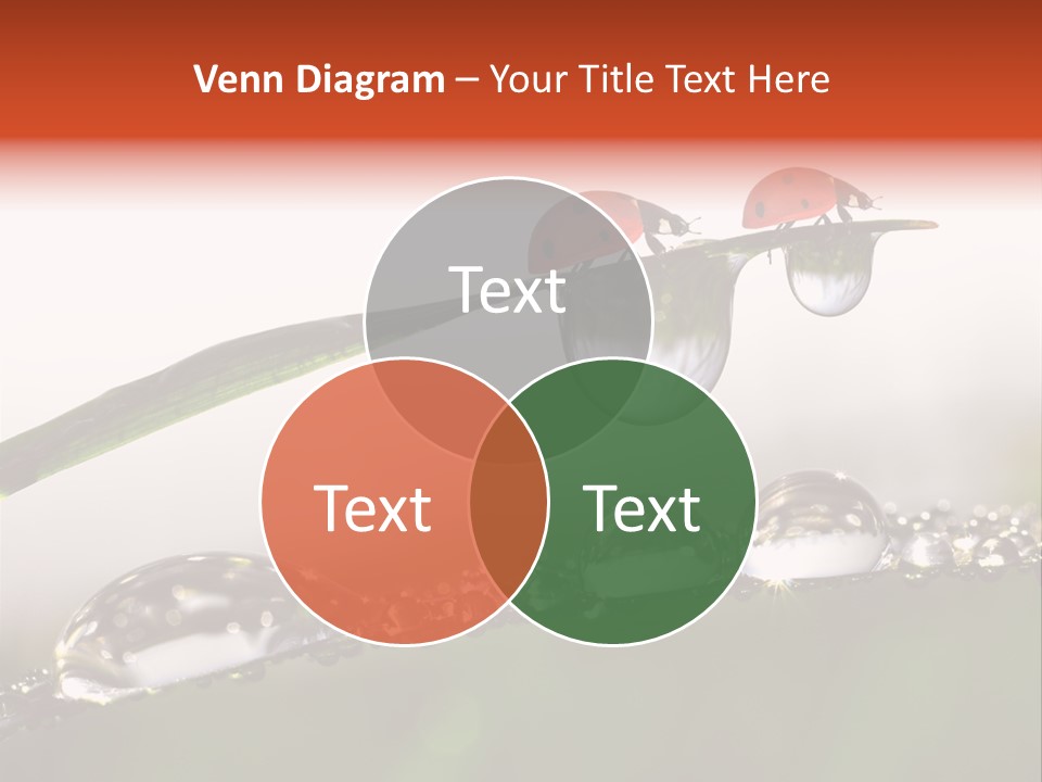 Weather Leaf Water PowerPoint Template
