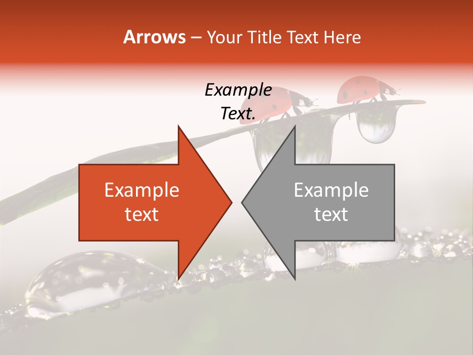 Weather Leaf Water PowerPoint Template