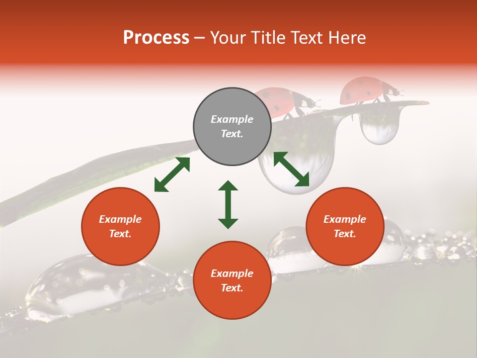Weather Leaf Water PowerPoint Template