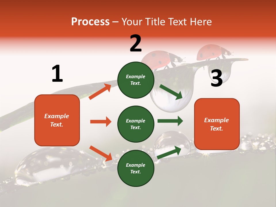 Weather Leaf Water PowerPoint Template