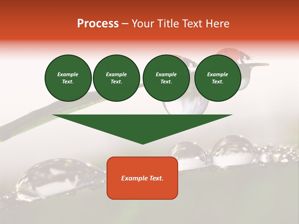 Weather Leaf Water PowerPoint Template