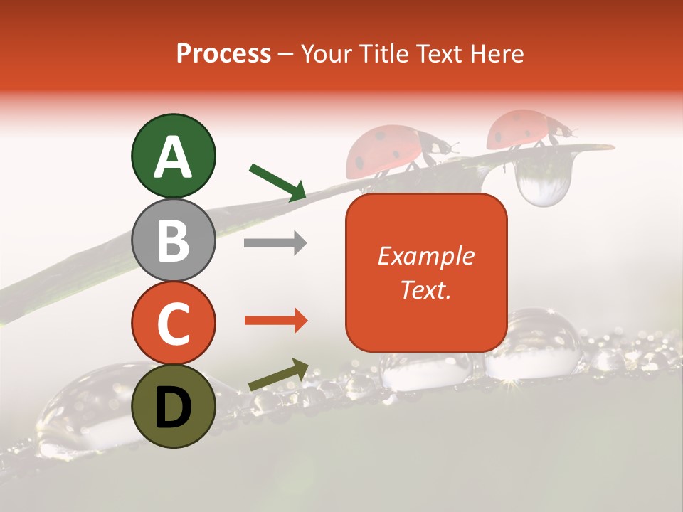 Weather Leaf Water PowerPoint Template