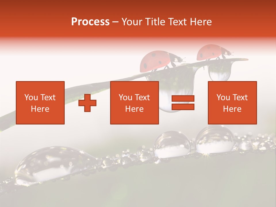 Weather Leaf Water PowerPoint Template