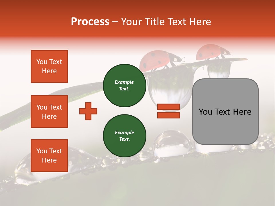 Weather Leaf Water PowerPoint Template