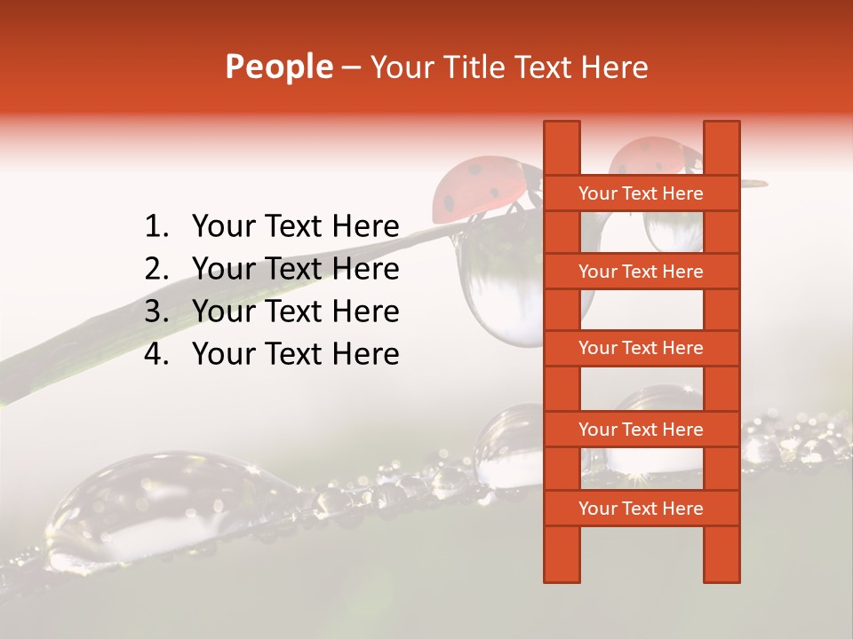 Weather Leaf Water PowerPoint Template