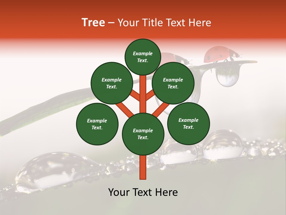 Weather Leaf Water PowerPoint Template