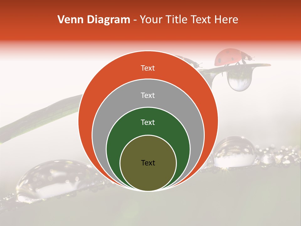 Weather Leaf Water PowerPoint Template