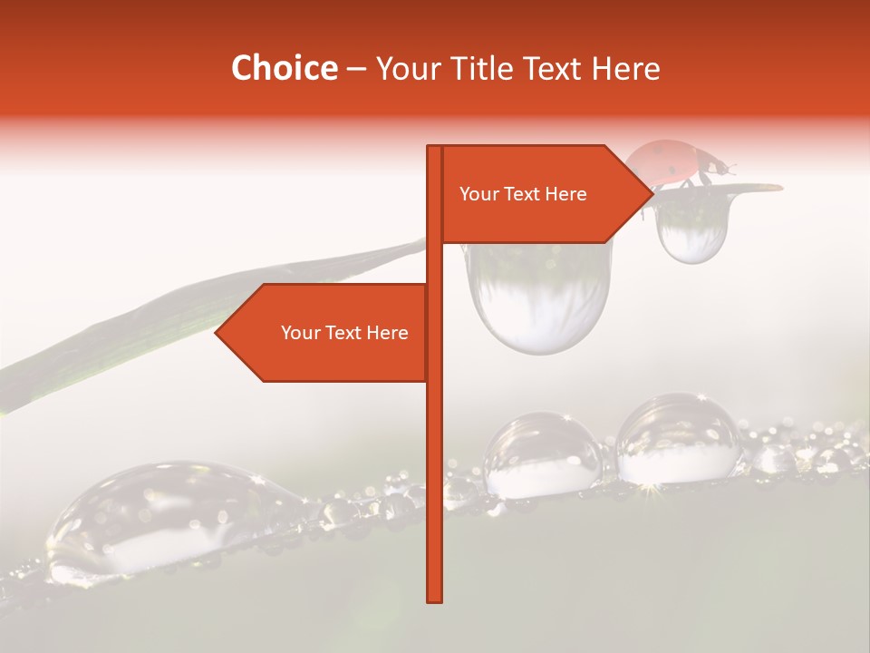 Weather Leaf Water PowerPoint Template