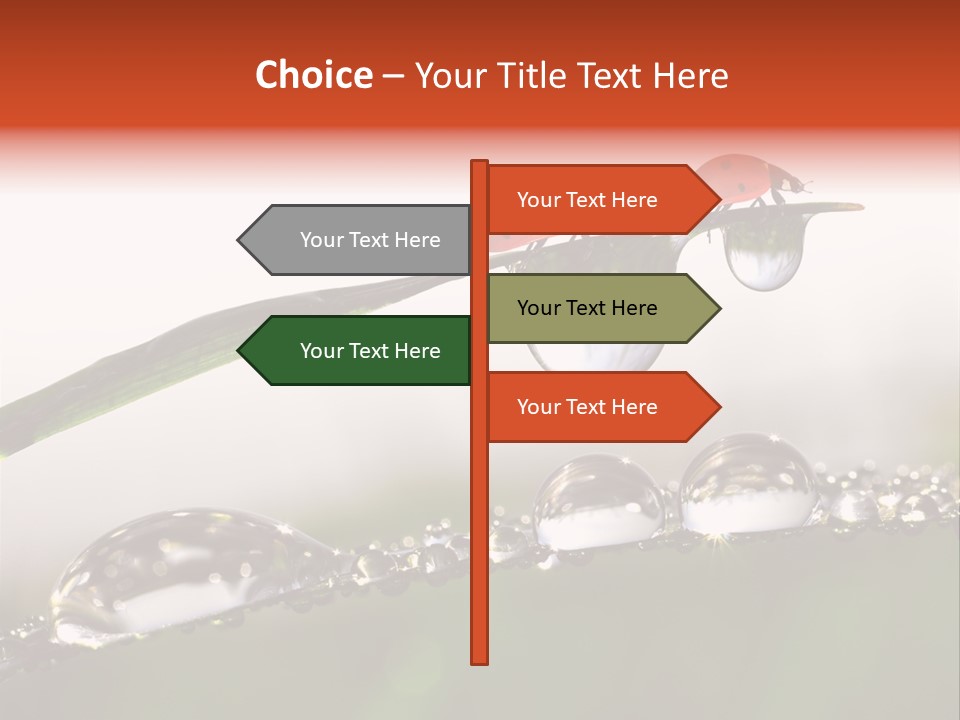 Weather Leaf Water PowerPoint Template